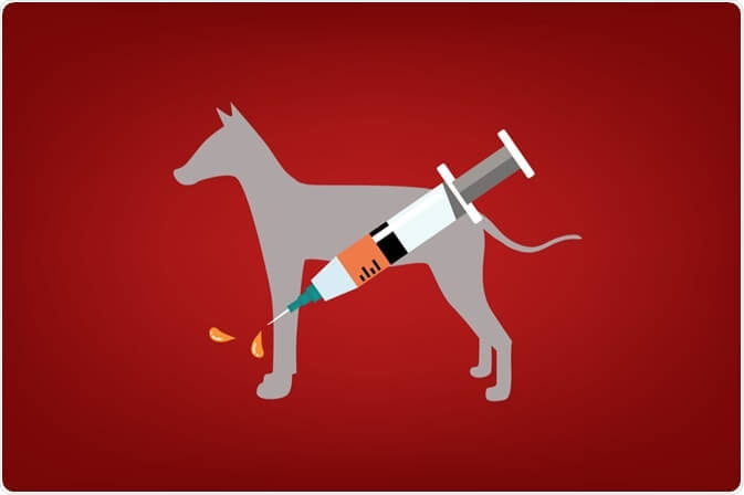 بیماری هاری چیست و چگونه منتقل میشود؟